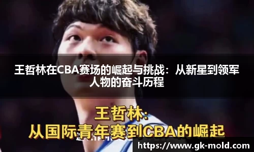 王哲林在CBA赛场的崛起与挑战：从新星到领军人物的奋斗历程