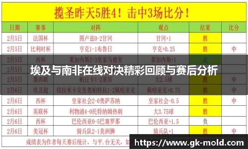 埃及与南非在线对决精彩回顾与赛后分析