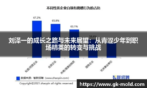 刘泽一的成长之路与未来展望：从青涩少年到职场精英的转变与挑战