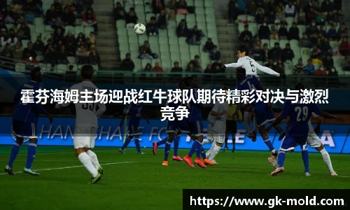 霍芬海姆主场迎战红牛球队期待精彩对决与激烈竞争
